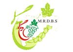 mrdbs